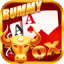 online indian rummy